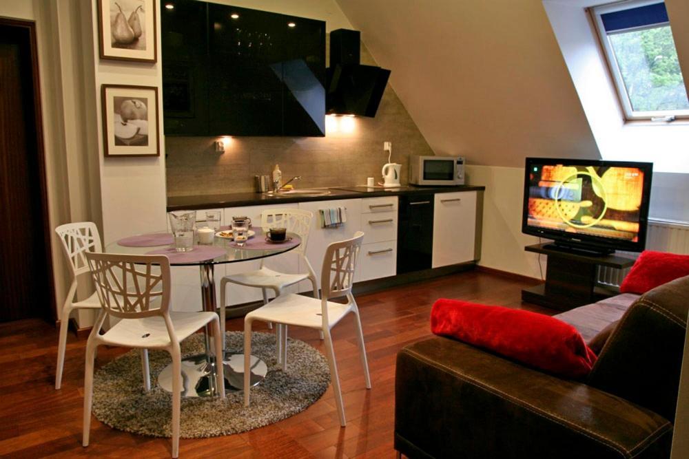 ApartSerwis - Gorące Źródła Apartament Lodowa Kopa 2 Zakopane Zewnętrze zdjęcie